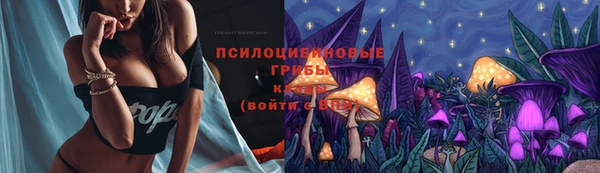 a pvp Кулебаки